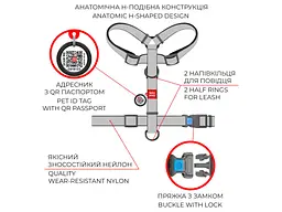 Шлея для собак WAUDOG Nylon з QR паспортом анатомічна H-подібна "ВАУ" S (5606) - мініатюра 4