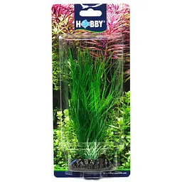 Штучна рослина Hobby Sagittaria 20 см (41502)