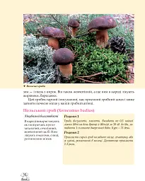 У пошуках грибного царства - Людмила Журавська - мініатюра 7
