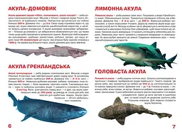 Велика книга Кристал Бук Акули (F00018784) - мініатюра 2
