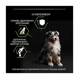 Сухий корм для собак Purina Pro Plan Dog Medium Puppy з високим вмістом курки 12 кг (7613035120402) - мініатюра 8