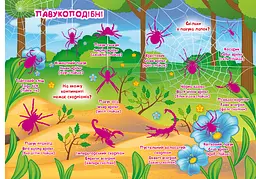 Велика книга Кристал Бук Розвиваючі наклейки + Розумні завдання Комахи та павукоподібні (F00021860) - мініатюра 3