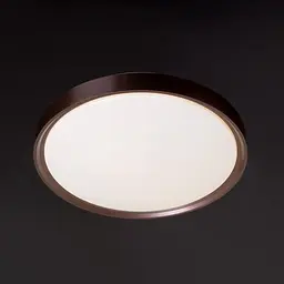 Світильник настінно-стельовий для ванної Brille W-629/20W NW - мініатюра 4