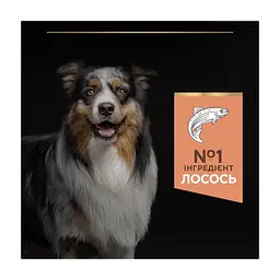 Сухий корм для собак Purina Pro Plan Dog Medium Adult Sensitive Skin з лососем і рисом 14 кг (7613035120464) - мініатюра 7