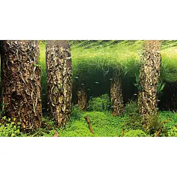 Задній фон Hobby Scaping Hill / Scaping Forest 120x50 см (31032) - мініатюра 3