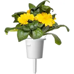 Змінний картридж Click & Grow Календула 3 картриджі (3160) - мініатюра 3