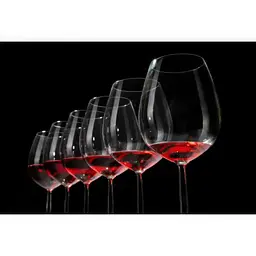Келих для червоного вина Schott Zwiesel Vina Bordeaux 626 мл (110496) - мініатюра 4