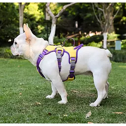 Шлея для собак Derby Pet harness FH107, L Жовтий - мініатюра 2