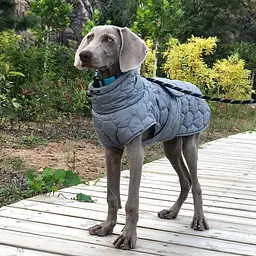 Світловідбивна куртка для собак на флісовій підкладці V.PET.B.R D64 grey XL