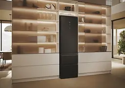 Холодильник Haier (HTW5620DNPT) - мініатюра 5