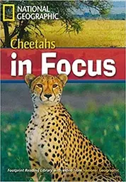 FRL2200 B2 Cheetahs in Focus!