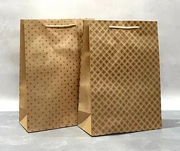 Пакет подарунковий Клітинка в горошок Крафт 31×22×10 см (290755)