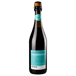 Вино ігристе San Mare Lambrusco dell'Emilia Rosso червоне напівсолодке 8% 0.75 л - мініатюра 5