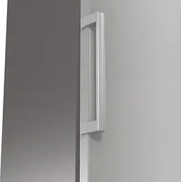 Холодильник Gorenje (R619FES5) - мініатюра 2