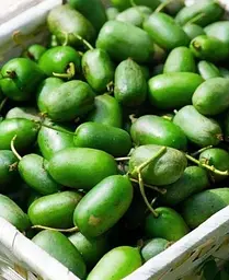 Саджанець Agro-Market Актинідія Оригінальна (міні-ківі, морозостійкий сорт, пізній термін дозрівання) (20749) 1 шт. в упаковці - мініатюра 4