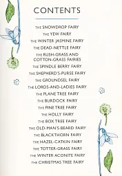 Flower Fairies of the Winter - мініатюра 3