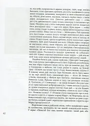 Козацька держава як ідея в системі суспільно-політичного мислення XVI–XVIII століть. Книга 1 - мініатюра 5