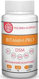 Вiтамiн PRO 60 капсул для покращення стану нервової системи Рослина Карпат