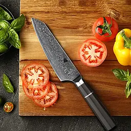 Ніж кухарський 24 см Damascus DK-EK 2001 VG-10 Дамаська сталь 67 шарів - мініатюра 6
