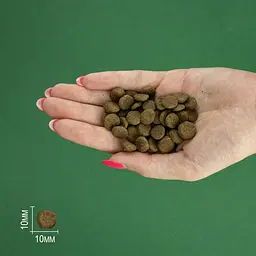 Сухий корм для котів Bravery Herring Adult Cat з оселедцем 600 г - мініатюра 6