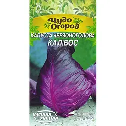 Насіння Капуста червоноголова Насіння України Калібос (662600)