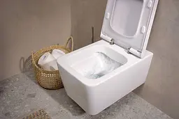 Унітаз підвісний Hansgrohe EluPura Q з інсталяцією iFrame 60301100 - мініатюра 4