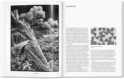 M.C. Escher. The Graphic Work - мініатюра 2