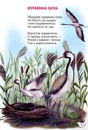Чом зозуля каже "ку-ку"? - Василь Кравчук - мініатюра 4