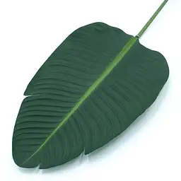 Штучне листя Engard Banana Tree 63 см (TW-51) - мініатюра 2