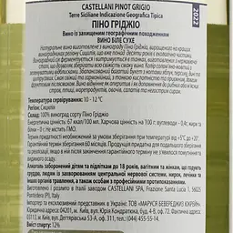 Вино Castellani Pinot Grigio IGT, біле, сухе, 12%, 0,75 л - мініатюра 3