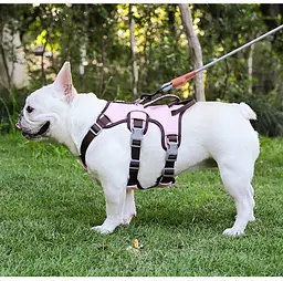 Шлея для собак Derby Pet harness FH107, L Рожевий - мініатюра 2