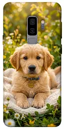 TPU чохол Demsky Small labradore для Samsung Galaxy S9+
