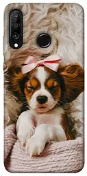 TPU чохол Demsky Sleepy spaniel для Huawei P30 lite