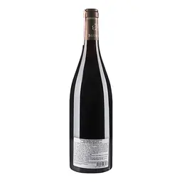 Вино Domaine Rene Bouvier Gevrey-Chambertin Racine du Temps Tres Vieilles Vignes 2016 АОС/AOP, 13%, 0,75 л (776104) - мініатюра 3