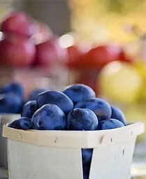 Саджанець Agro-Market Слива Чачакська рання (літній сорт, ранній термін дозрівання) (15796) 1 шт. в упаковці - мініатюра 3