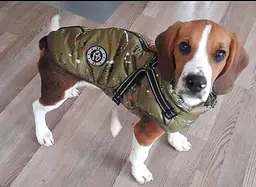 Зимова куртка для собак Derby Fashion Sports D76 Army Green M - мініатюра 5