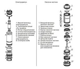 Насос свердловинний Dongyin 777442 4SEm2/6 0,25 кВт Ø 102 мм 30 м кабелю 30412 - мініатюра 2