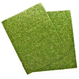 Фон з натурального моху Repti-Zoo Natural Moss Back & Bottom 50x25см 2 шт (NCM5025) для тераріуму - мініатюра 5
