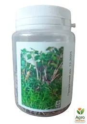 Насіння Agro-Market Мікрозелень Салатна суміш у банці 20 г (45226) - мініатюра 2