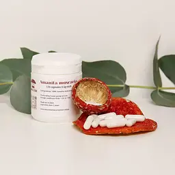 Мухомор Amanita store червоний у капсулах 120 капсул по 0.5 г