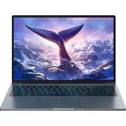Ноутбук Blackview GamiBook 8 [GamiBook_8_32_1_GR] [147139]