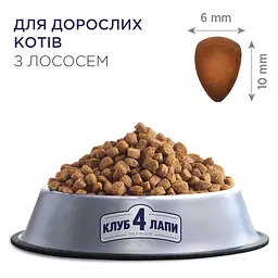 Сухий корм для котів Club 4 Paws Premium лосось 14 кг (B4630501) - мініатюра 3