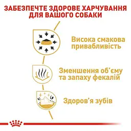Сухий корм для дорослих собак породи Чихуахуа Royal Canin Chihuahua Adult, 3 кг (2210030) - мініатюра 6