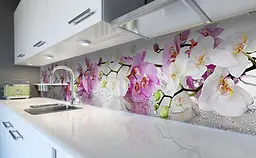 Кухонний фартух Пишні Орхідеї вінілова наклейка для кухні Квіти роса Рожевий 60х200 см Happy Pocket Z181385