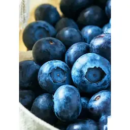 Саджанець Agro-Market Лохина (чорниця садова) Нельсон (Nelson) (пізній термін дозрівання, один з великоплідних сортів) 1 шт. в упаковці (45481) - мініатюра 4