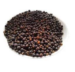 Ялівець Плоди Боровиця Можжевельник Juniperus communis
