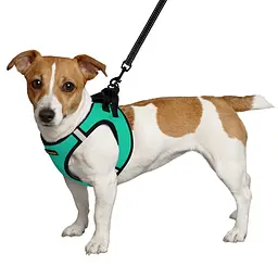 Шлея для собак Bronzedog Sport Vest M 24х18х3 см бірюзова - мініатюра 2