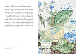 The Book of Garden Flowers - мініатюра 6