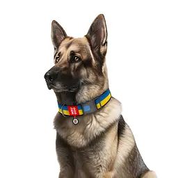 Нашийник для собак нейлоновий Waudog Nylon з QR-паспортом "Colors of freedom" пластиковий фастекс XXL Ш 35 мм Дов - мініатюра 3