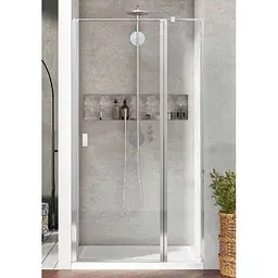 Душові двері Radaway Nes DWJ II 100 см 10036100-01-01R